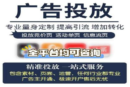百度竞价推广在电商领域的赚钱案例